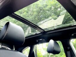 
										Kia Seltos GTX Plus AT 1.5 Diesel full									